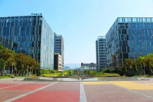 麗水高技術特色小鎮 電子專用設備銷售的崛起之路