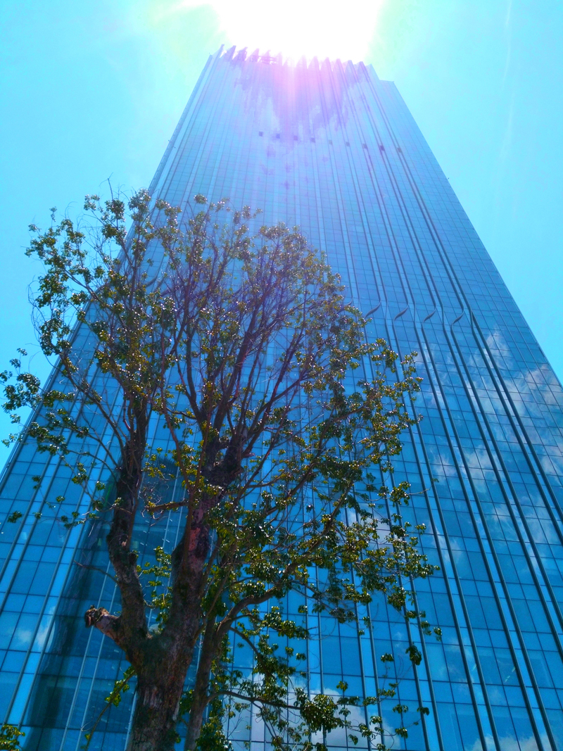 IFC外景.jpg