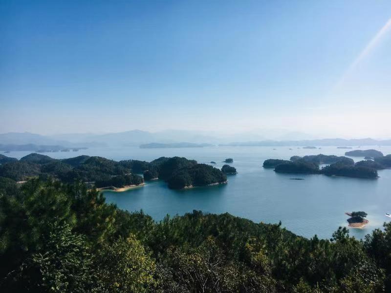 微信圖片_201911041549596.jpg
